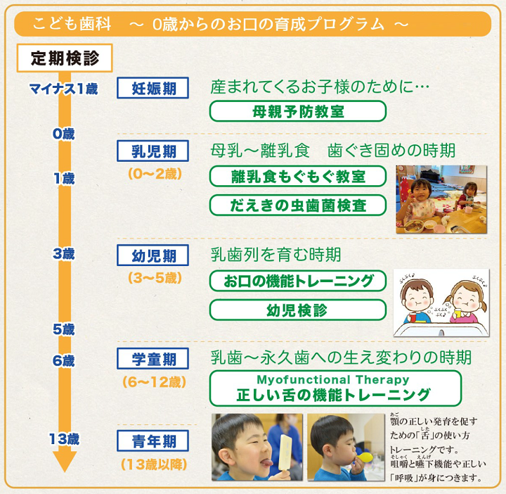 0歳からのお口の育成プログラム