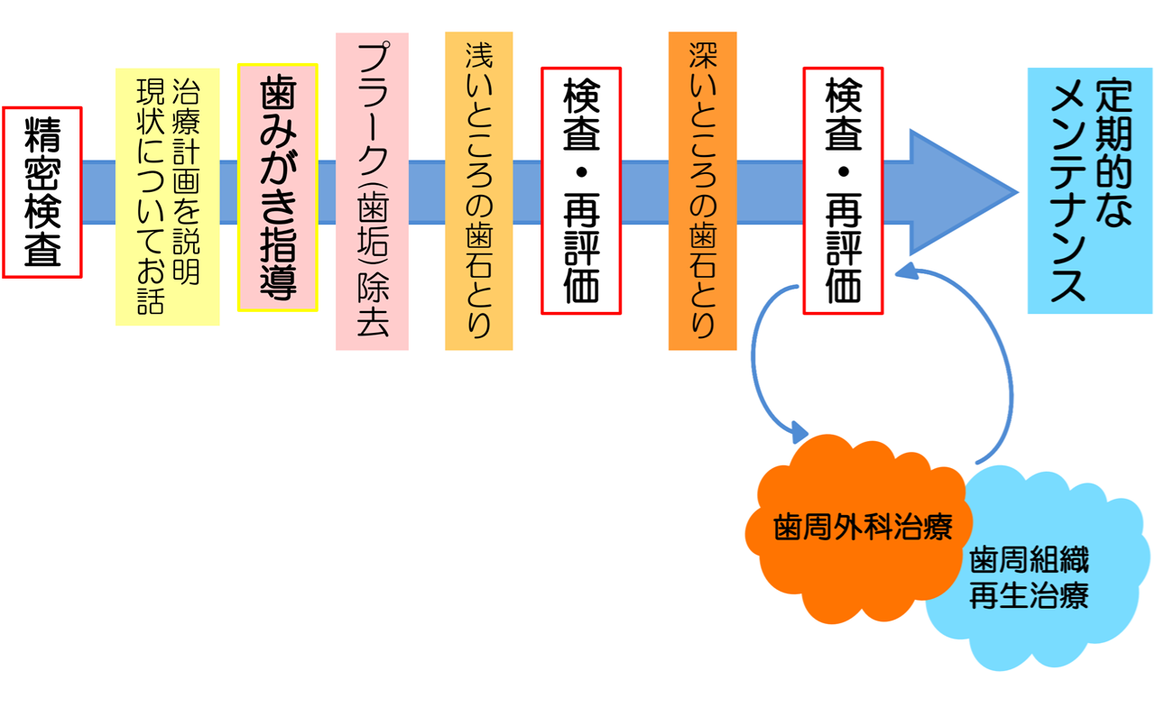 歯周病治療の流れ