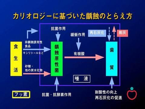 上の図は、カリオロジーに基づいた虫歯のとらえかたです。この理論から虫歯の予防を考えるのです。