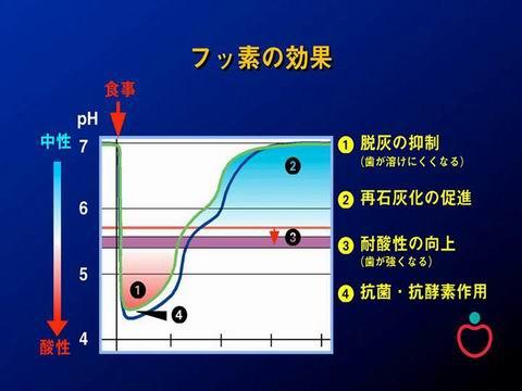 フッ素は、その過程の4箇所で働いてくれます。①～④